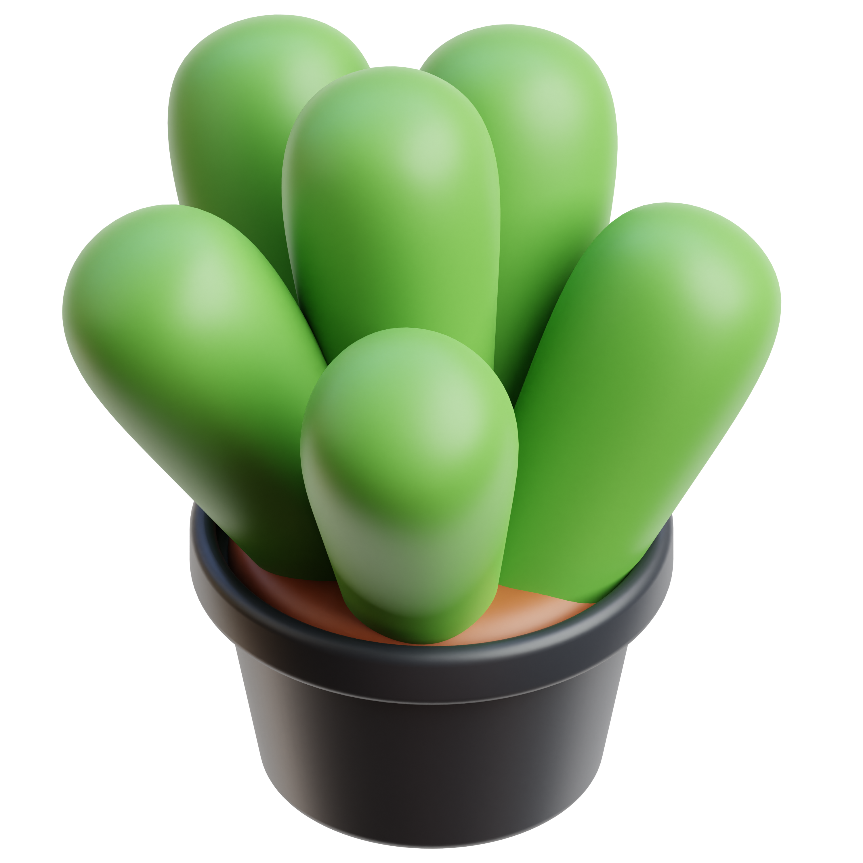 3D Illustration of Decorative Plant
